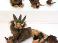 windstone_commission_montage_by_carn_dearg-d4kecos.jpg